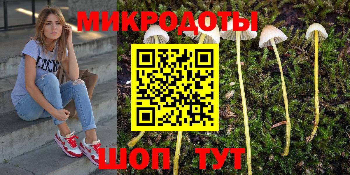 Псилоцибиновые грибы GOLDEN TEACHER  Вход с VPN  Псилоцибиновые грибы мицелий  Большой Камень 
